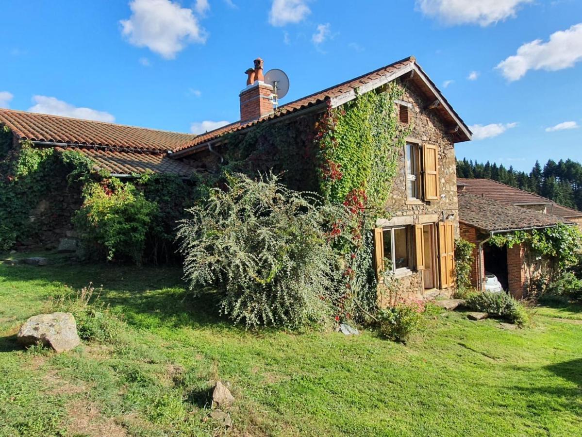 Eco-Gite Cottage Panoramique, Terrasses, Baby Foot, 150 M2 Renove Et Agrandi En 2024, Activites Proposees Champagnac-le-Vieux Zewnętrze zdjęcie